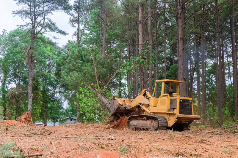 Building Site Clearing in Houston, TX