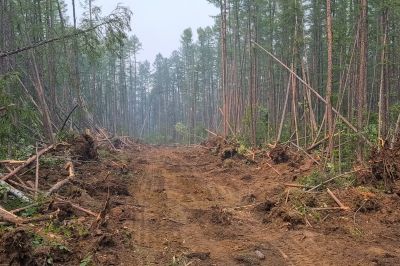 Commercial Land Clearing in Gwinnett County, GA