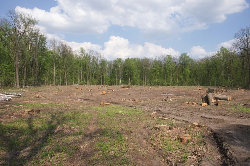 Terrain Clearing in Cumming, GA