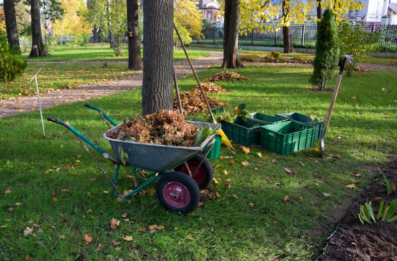 Trail Clearing