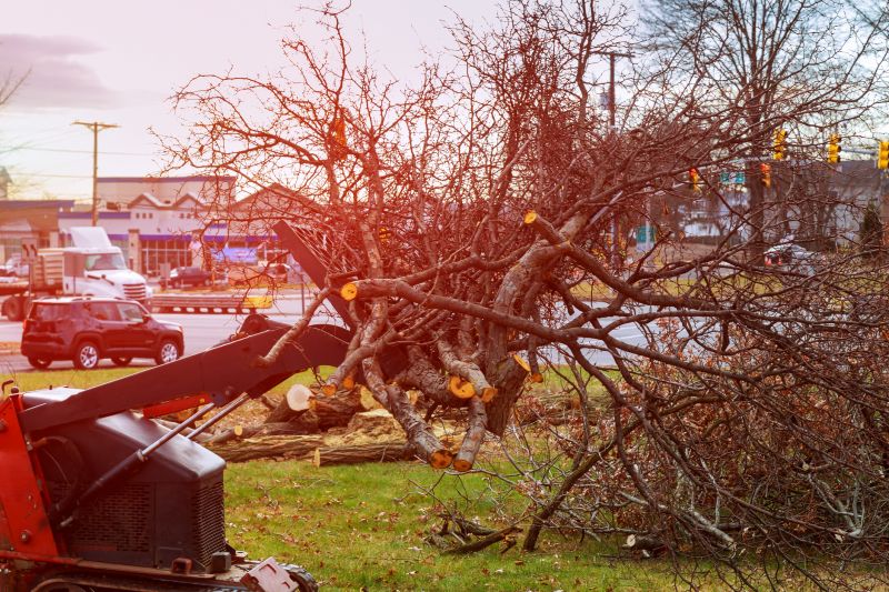 Acreage Clearing in Salt Lake City, UT