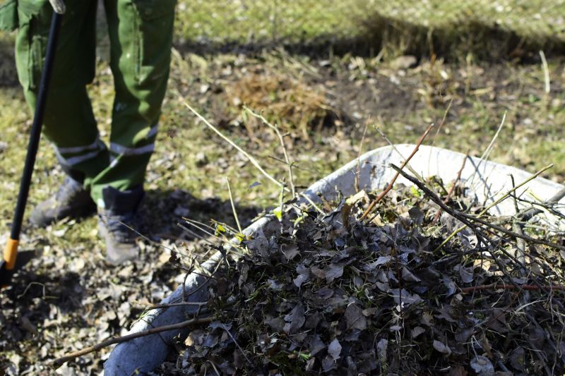 Brush Clearing Service in Utah County, UT