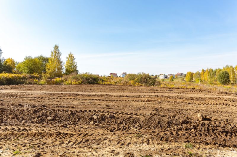 Building Site Clearing in Utah County, UT