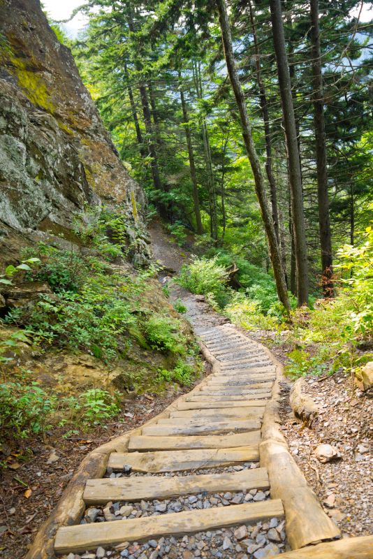 Trail Surface Preparation