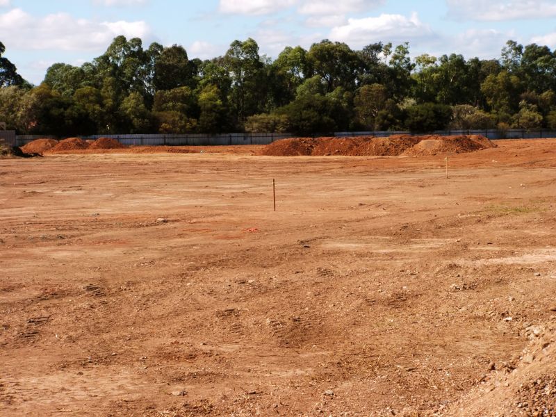 Expert Site Assessment