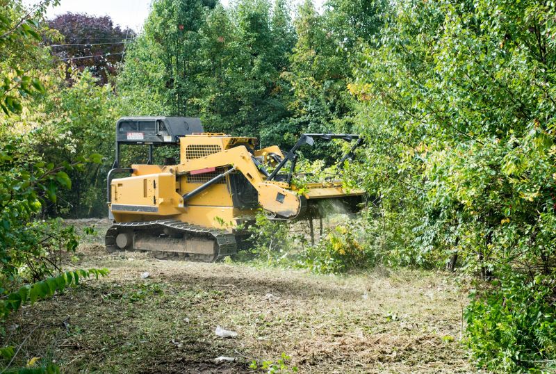 Underbrush Clearing in Gwinnett County, GA