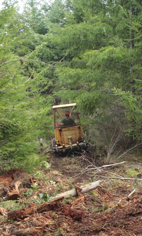 Reduced wildfire hazards